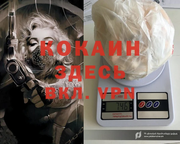 ALPHA PVP Гусев