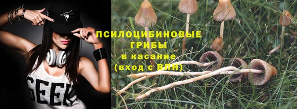 хмурый Алзамай