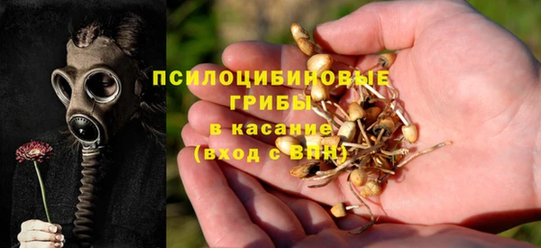 таблы Алексин