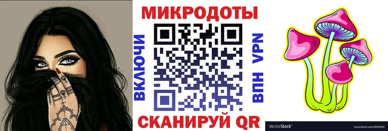 мега вход  Сосенский  Псилоцибиновые грибы Psilocybine cubensis 